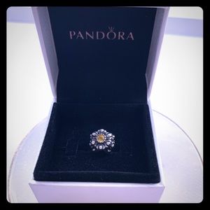 Pandora charm
